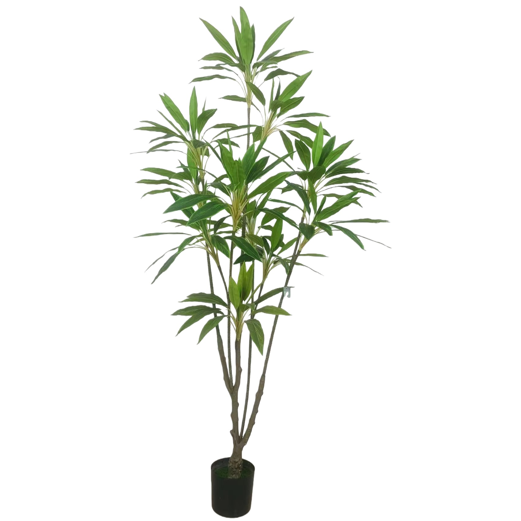 كما ان النباتات الموجودة في شرفة غرفة الجلوس تشبه النباتات الخضراء Item Picture