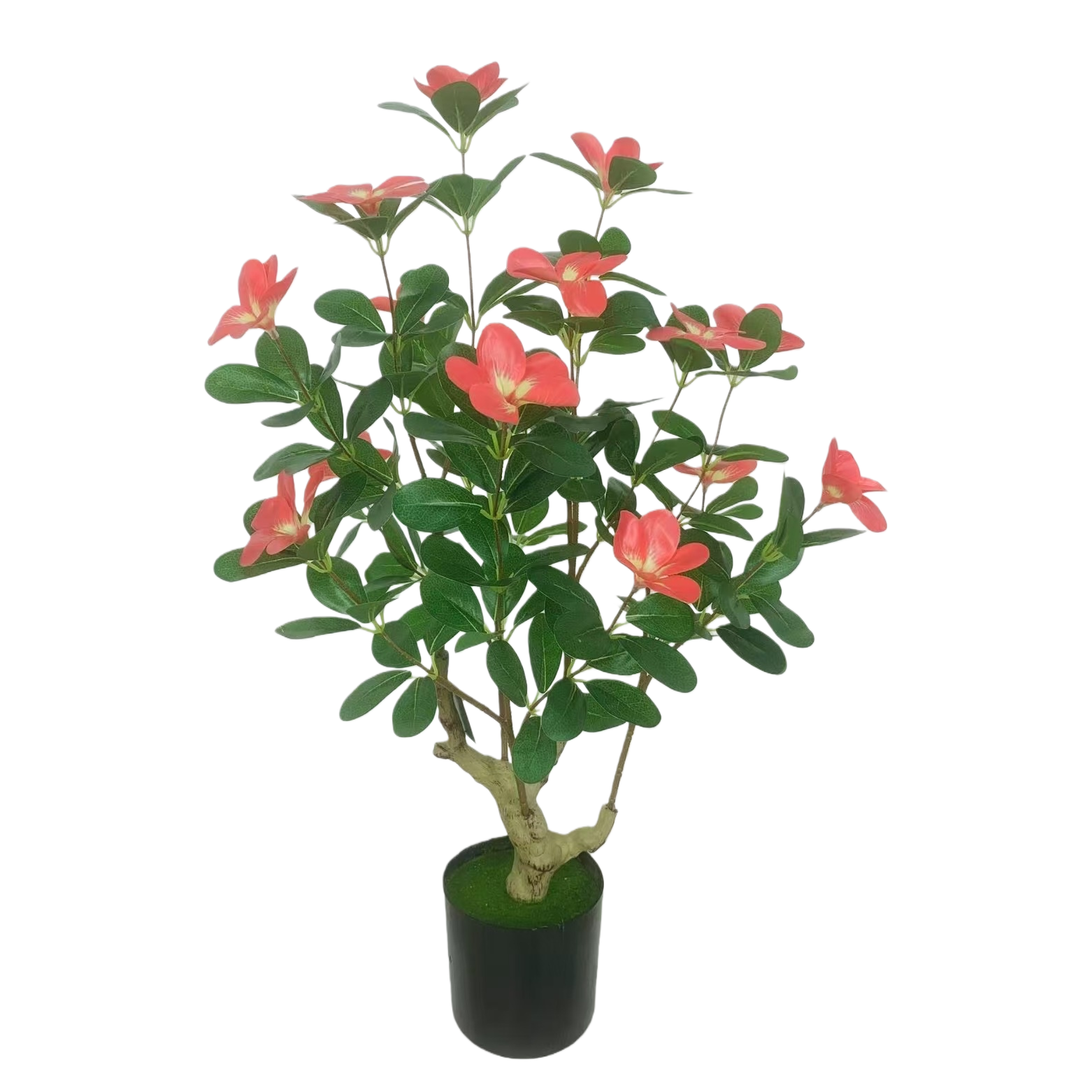 اشكال جديدة من الزينة التقليدية Item Picture