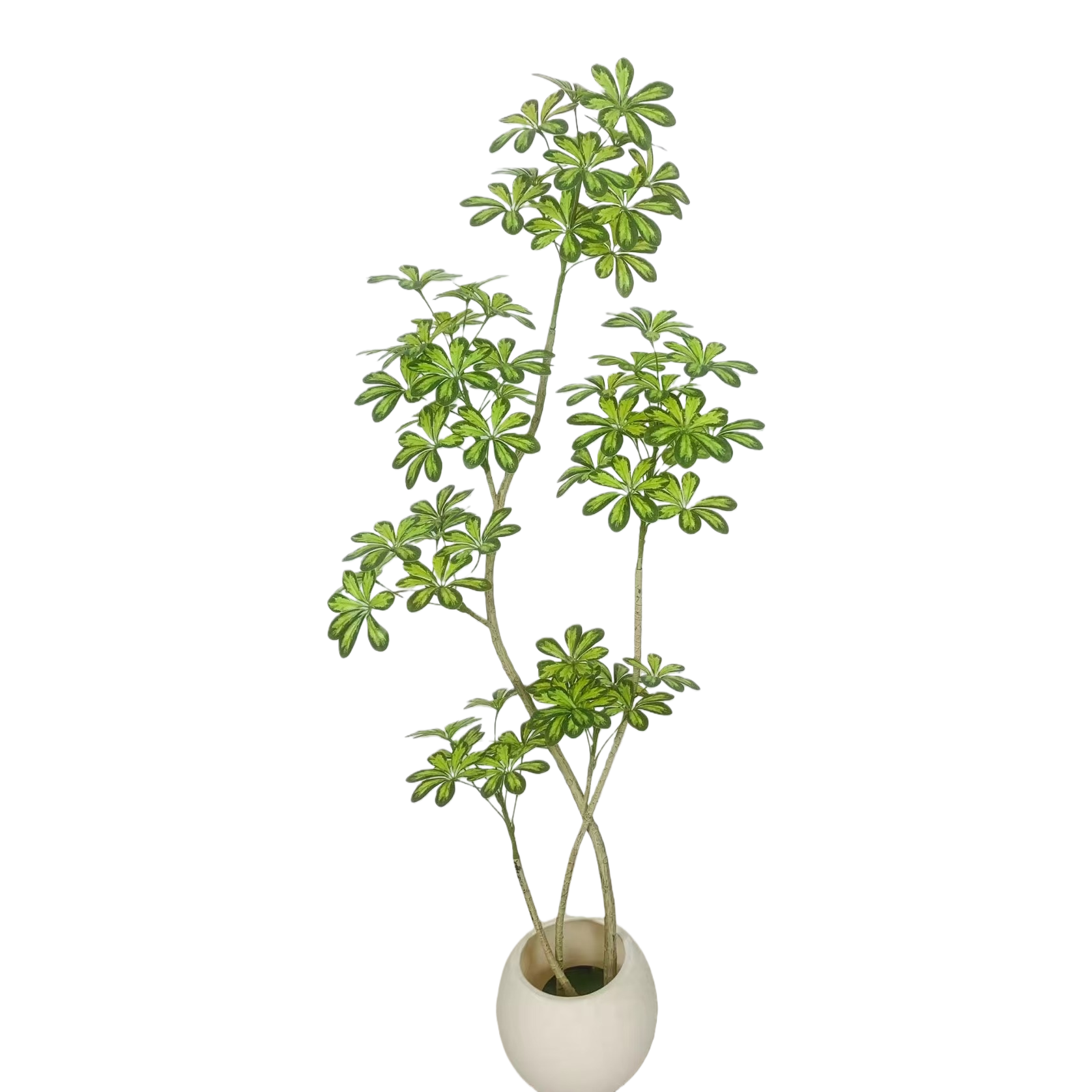 الزخرفة الطبيعية للزخرفة الداخلية للزخرفة Item Picture