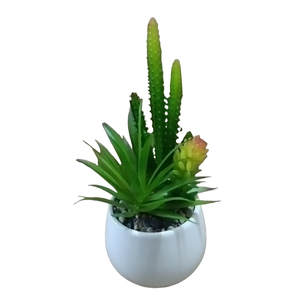 زهور خزفية بيضاء مزخرفة بالزخارف الداخلية، تشبه نباتات متعددة من اللحم Item Picture