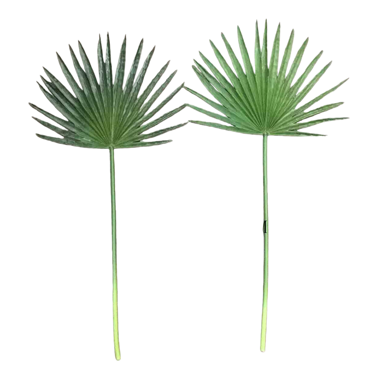 زخرفة جديدة للحواسيب المنضدية الخلاقة في الحيز المكتبي، على غرار الشجرة البستانية Specification image