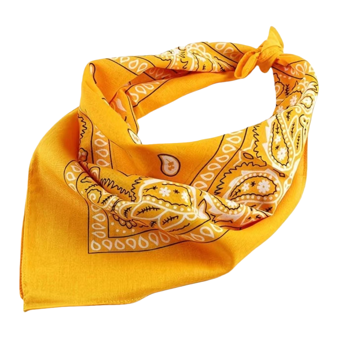 This fashionable and retro Paisley pattern handkerchief is versatile, multi-purpose, soft and light. It is a gift for ladies Item Picture