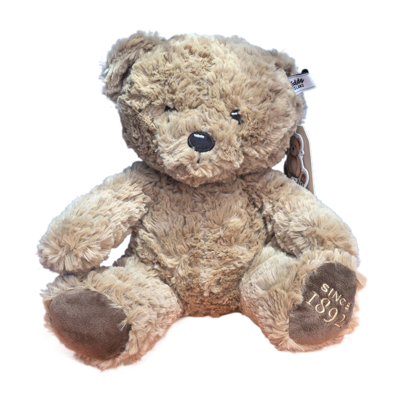 Teddy Ailan Plush Toys, Dolls, Plush Toys, Cute And Adorable Items, Great Touch, Teddy Dolls Application Scenario