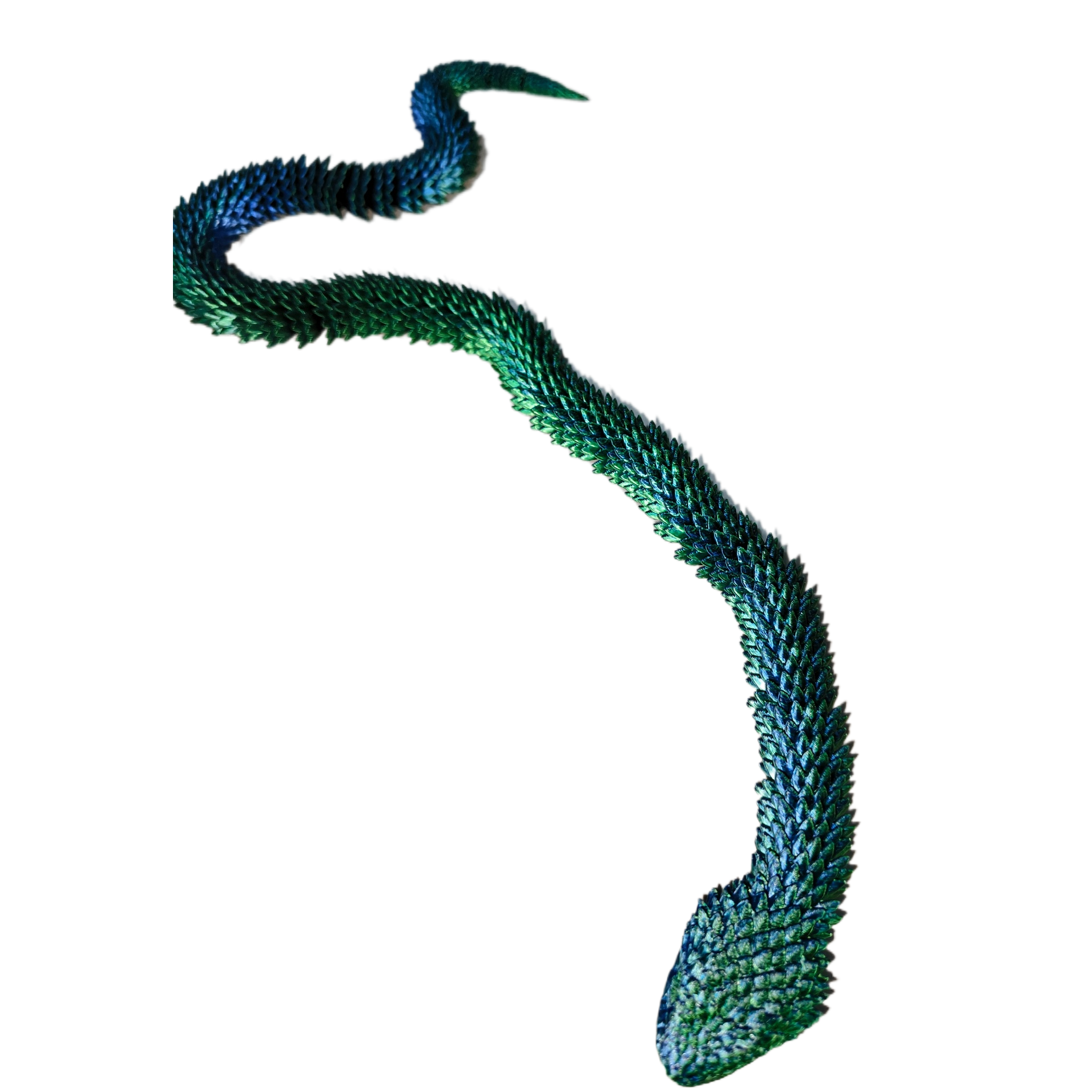 动植物/仿真模型实物图