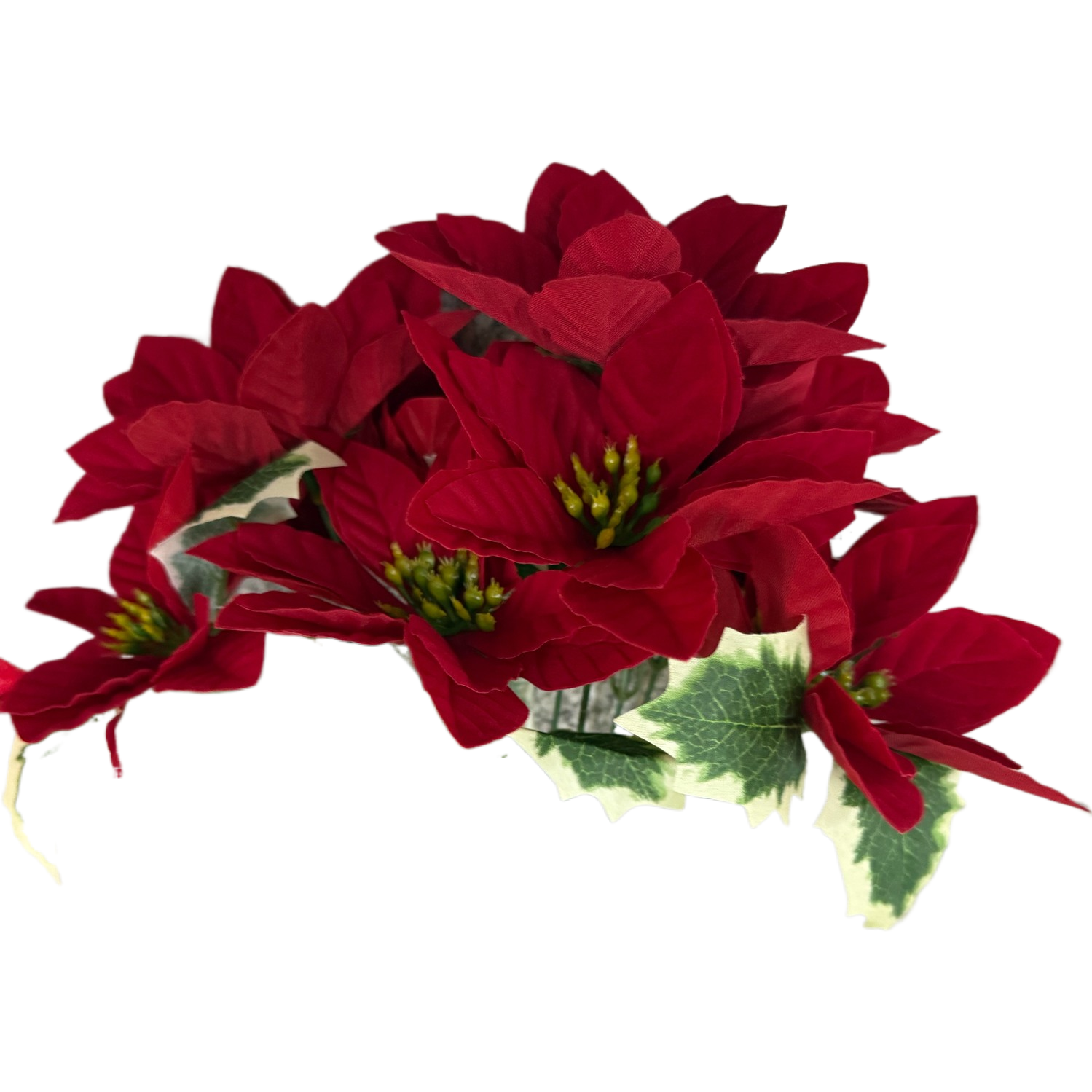 鲜花插花泥/鲜花/送女生礼物/花束袋子/永生花花束白底实物图