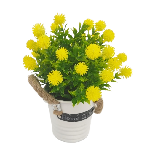 永生花/毛线太阳花/干花/母亲节/永生花花束白底实物图