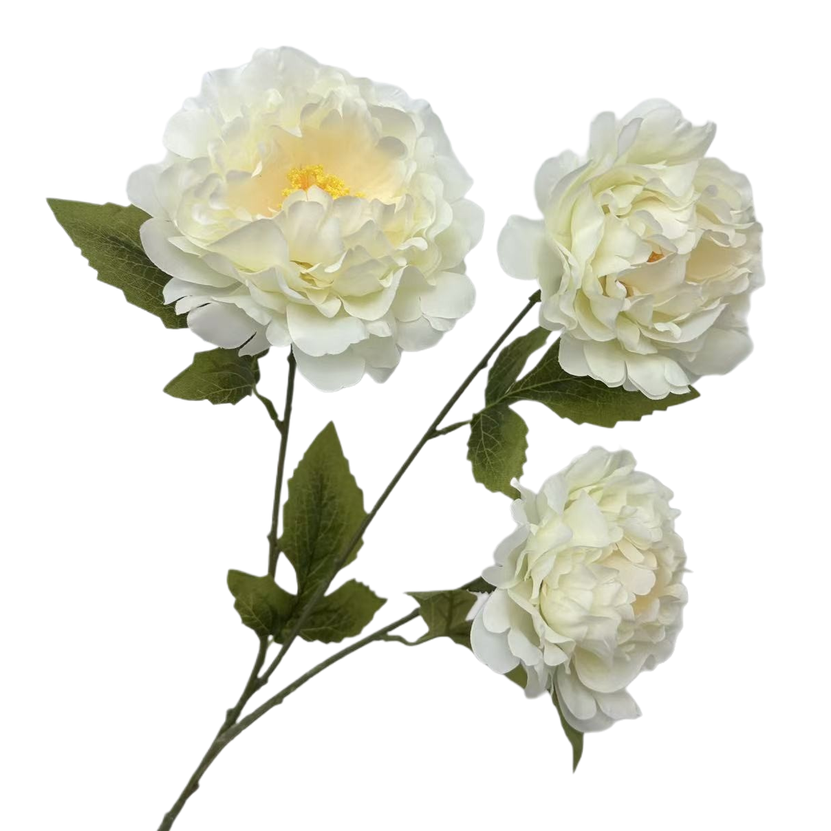 鲜花插花泥/鲜花/夏威夷花环/永生花绣球/送女生礼物白底实物图