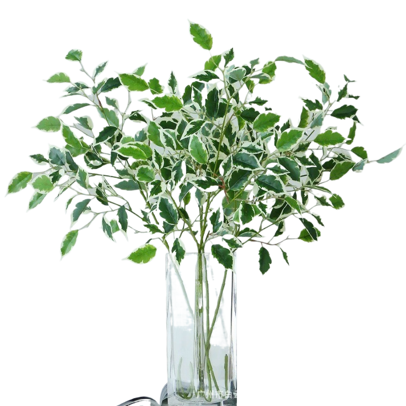 多肉/仿真花/仿真植物/仿真绿植/串花藤吊白底实物图