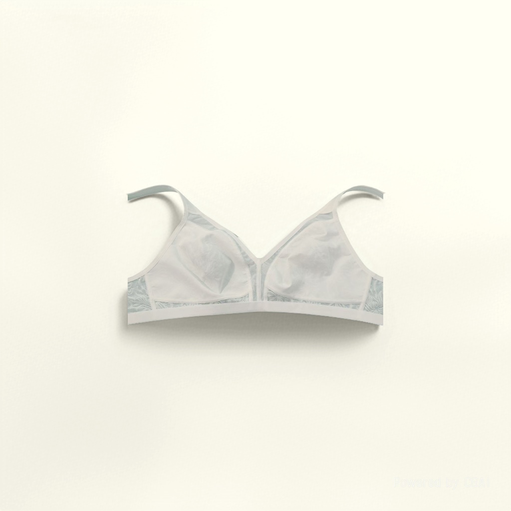 Plus-size lace sexy bra Application Scenario