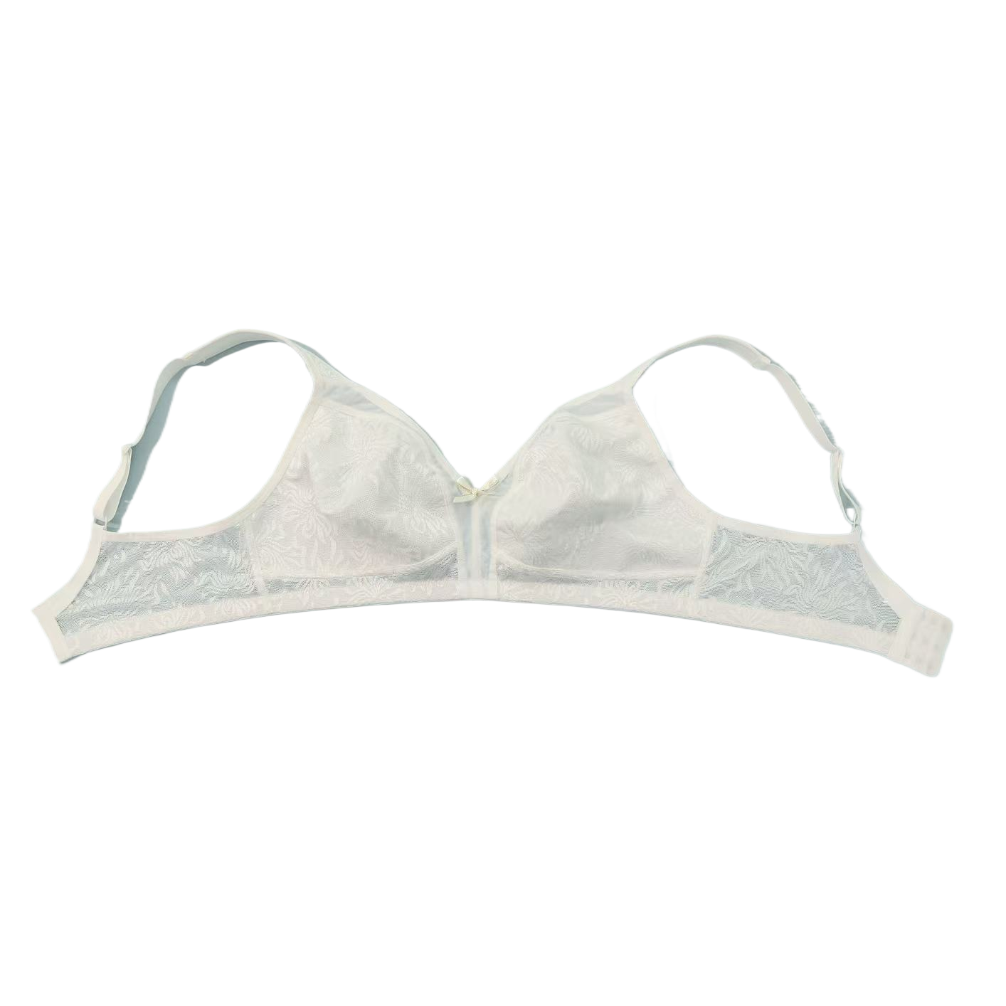 Plus-size lace sexy bra pic 6