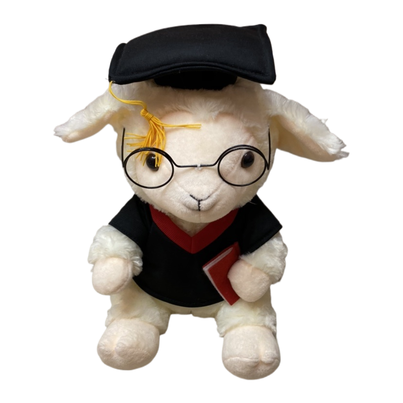 Customized plush toys, trendy dolls, plush figurines, cute toys Item Picture