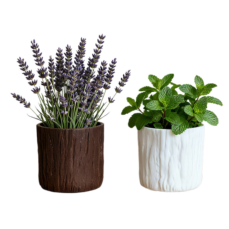أزهار نبتة متعددة الوعاء متعددة الوعاء Item Picture