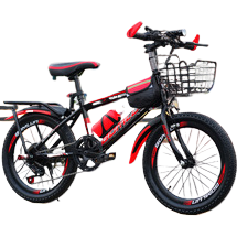 Electric bicycle, electric bike, elderly assist device, scooter 125cc smart model Item Picture