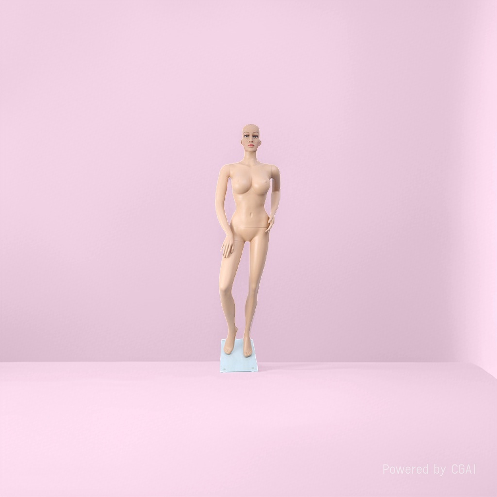 Plastic female model details Picture