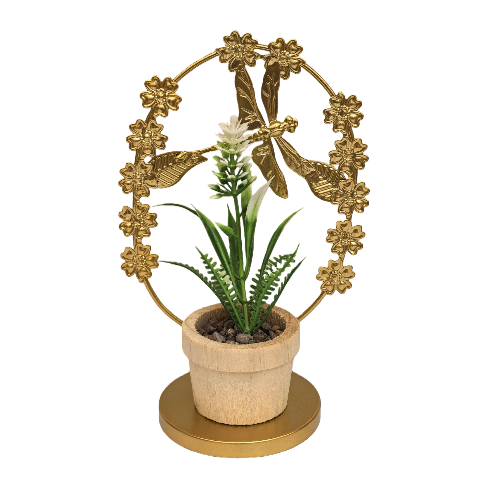 绿植盆栽小盆景室内装饰植物083811457白底实物图