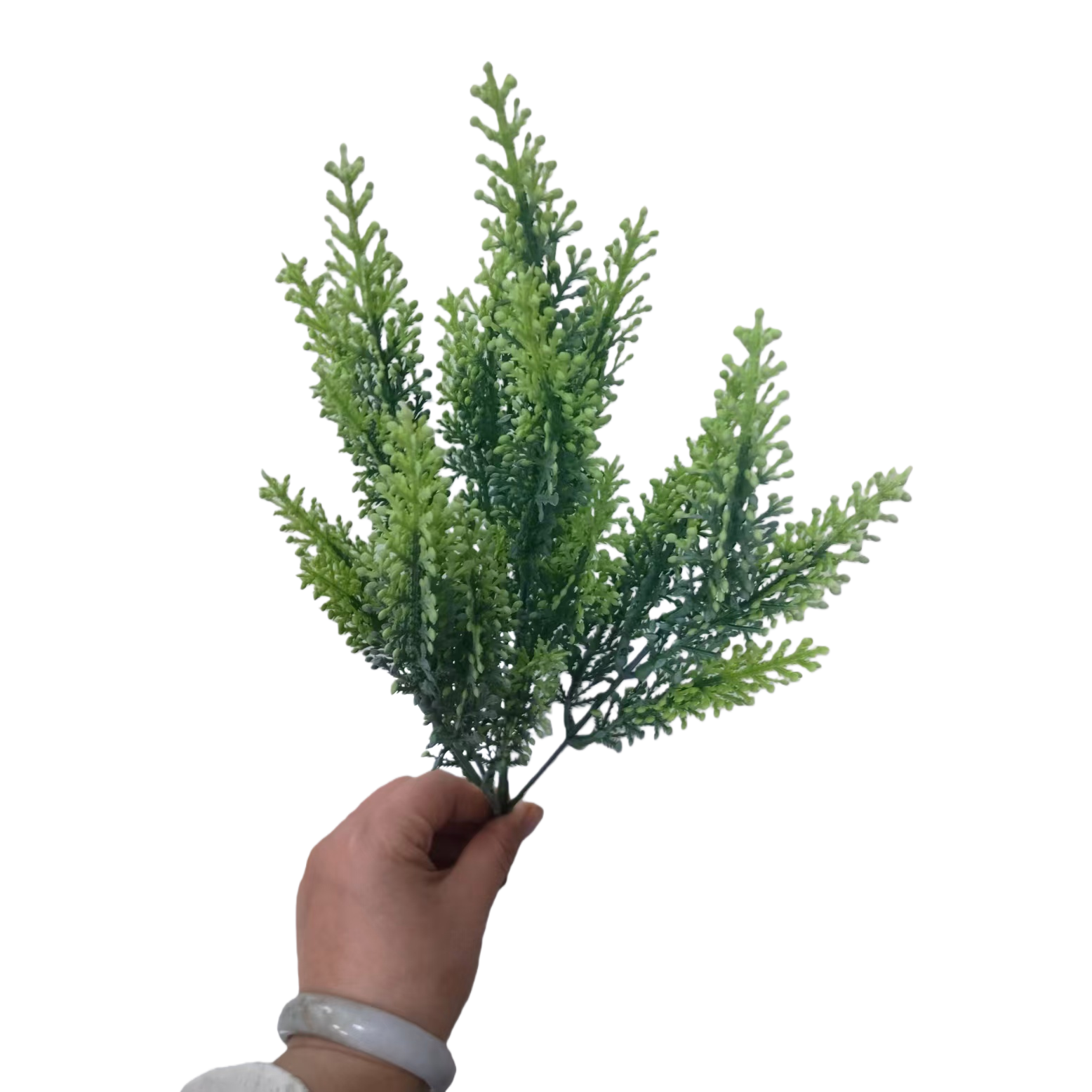 Artificial plants, artificial green plants, artificial flowers, 5-fork 25-mesh plastic spray-painted aquatic plants, indoor and outdoor DIY decoration and shooting props in stock Item Picture