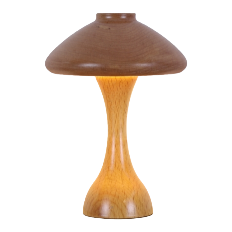 CICO Wooden Mushroom Atmosphere Small Desk Lamp with head switch Night light type-c rechargeable portable desk lamp Item Picture