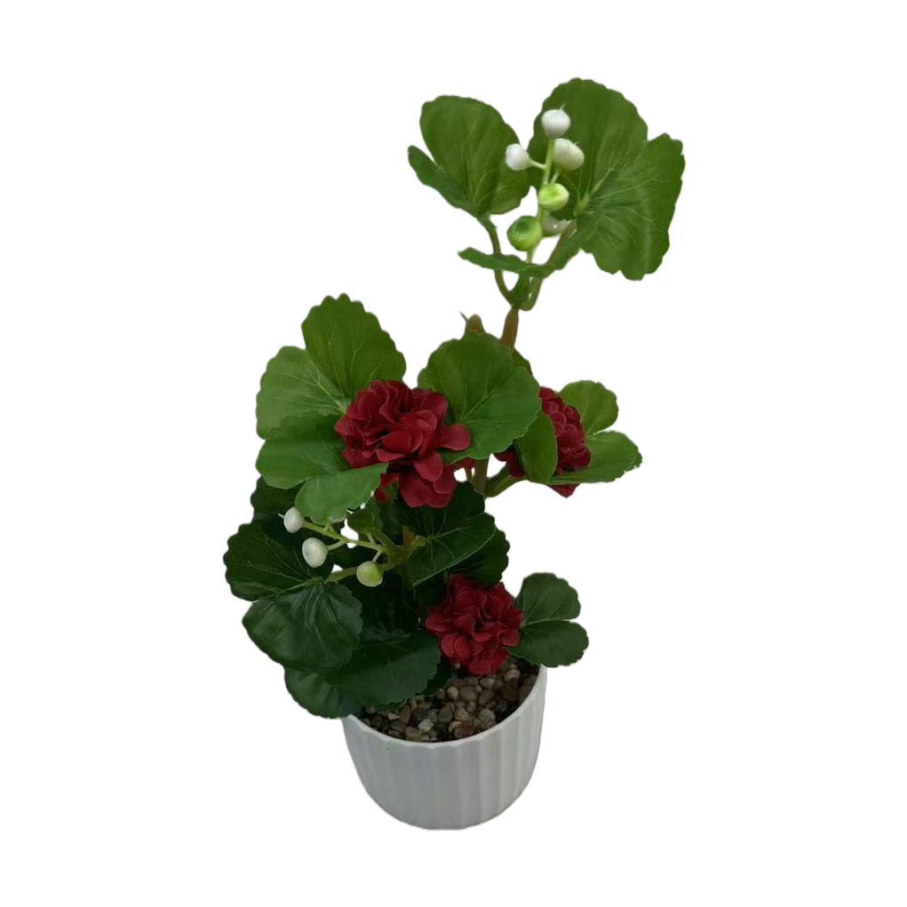 手工花毛线编织/花种子/毛线手工花/花盆模具/易拉罐种植白底实物图