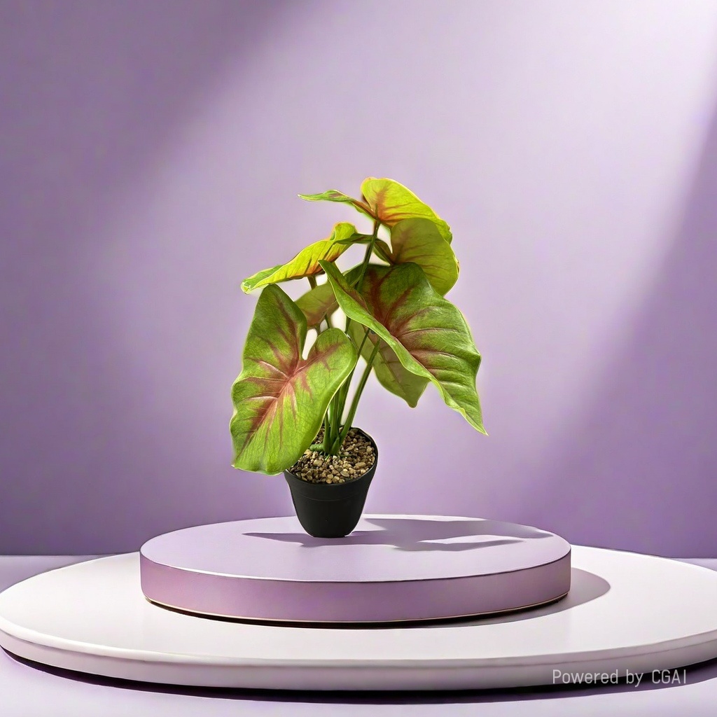 创意仿真盆栽绿植桌面摆件163629034 Specification image
