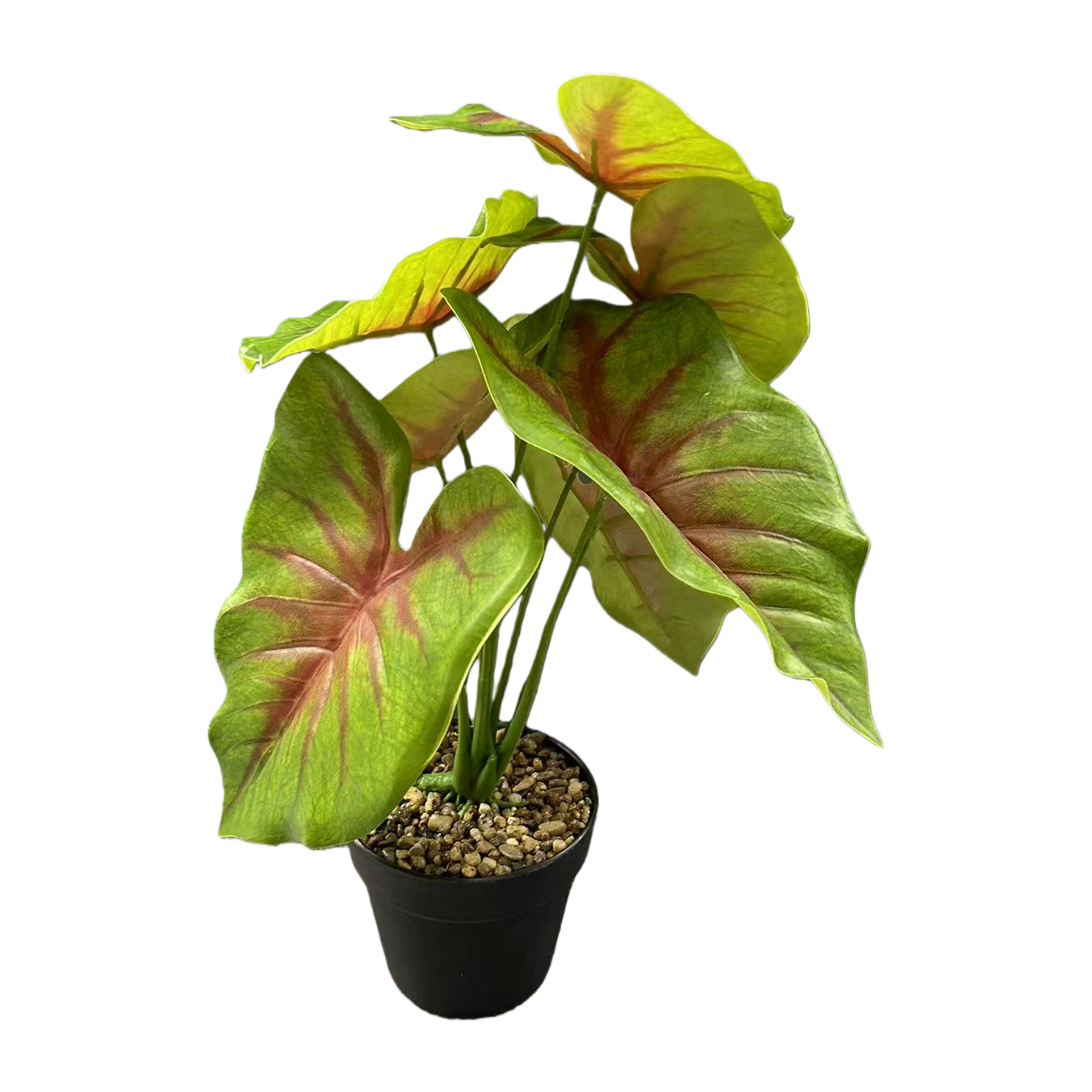 创意仿真盆栽绿植桌面摆件163629034 Item Picture