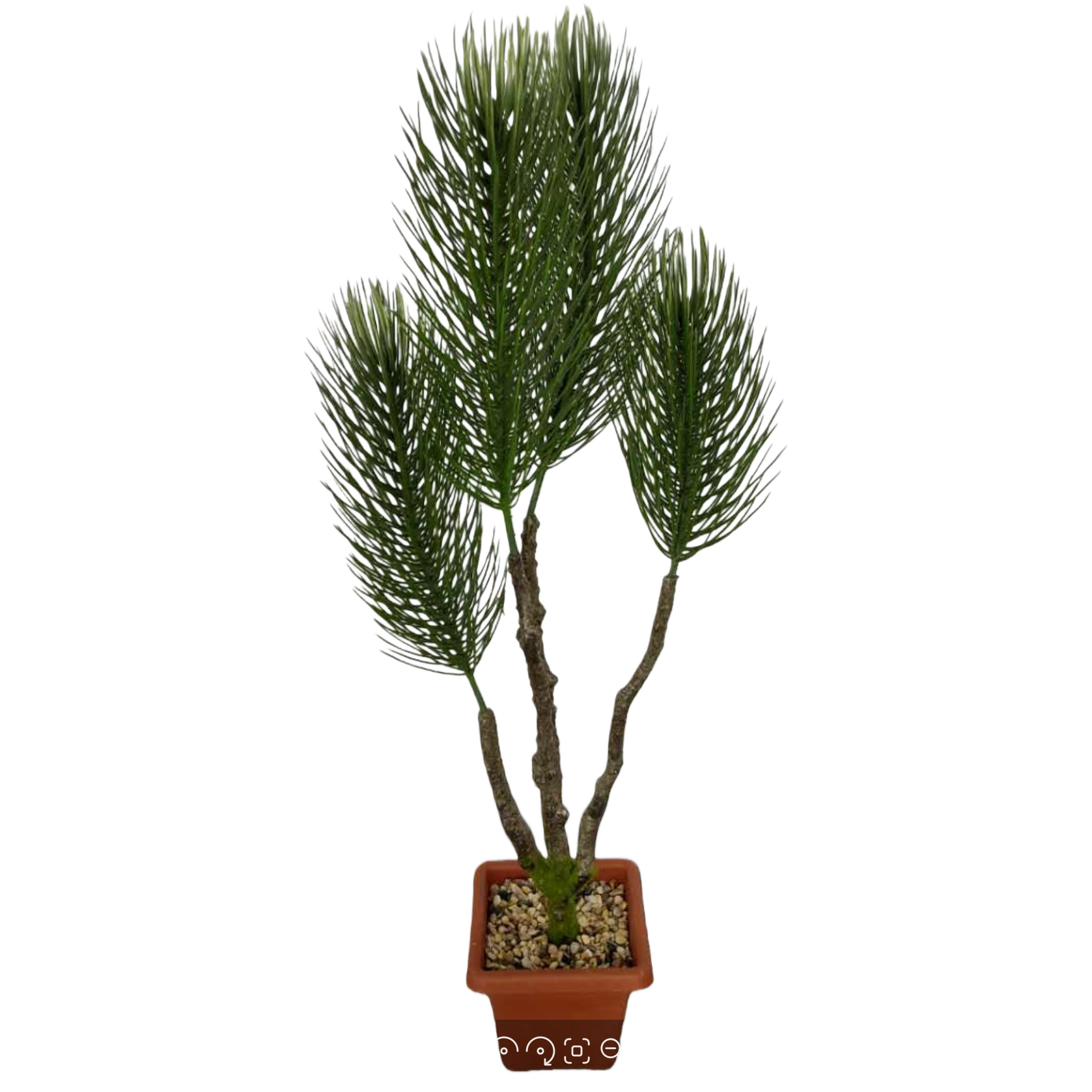 Creative simulation potted green plant desktop ornaments, pine tree simulation Item Picture