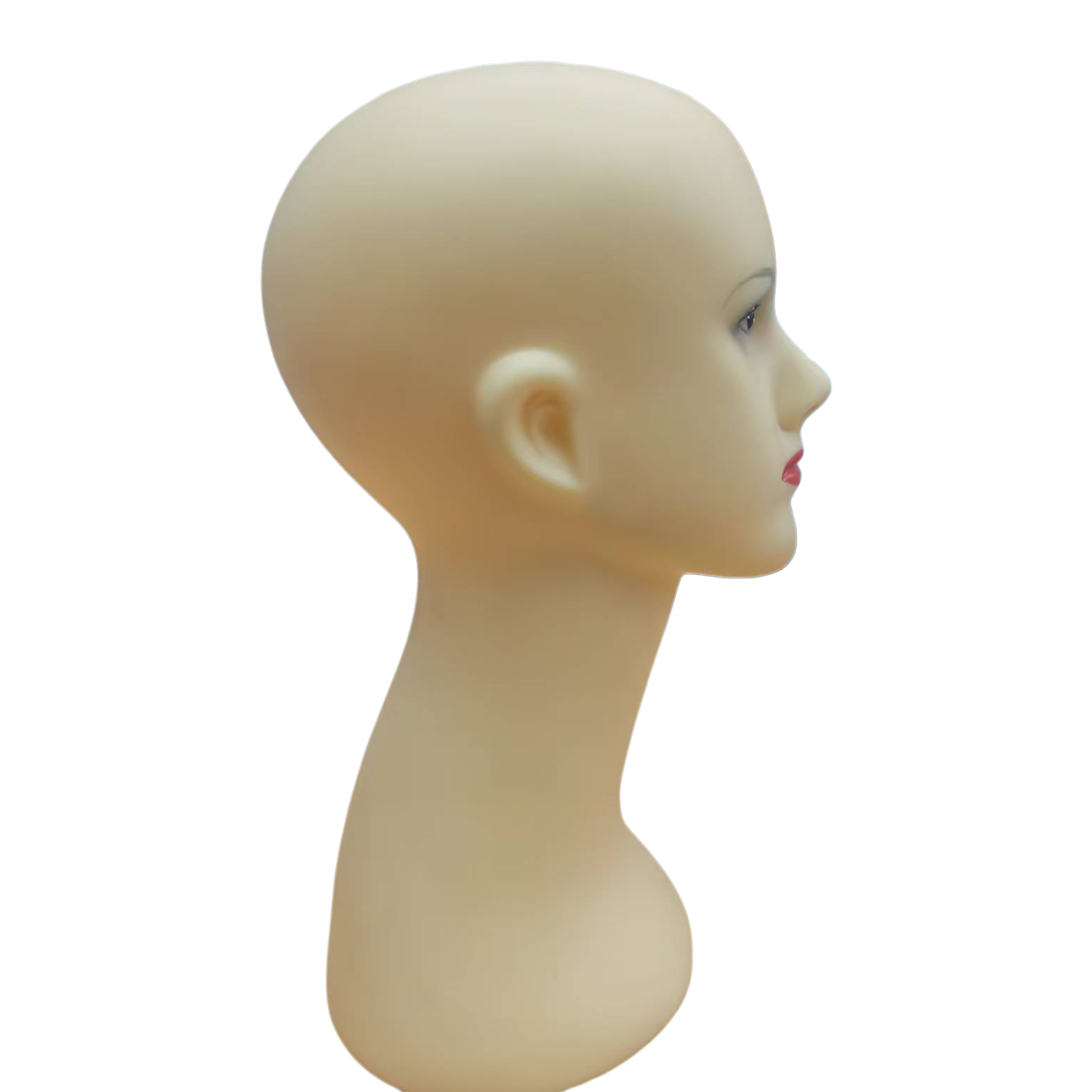 模特/人体模特/模特展示头/模特头/人台女白底实物图