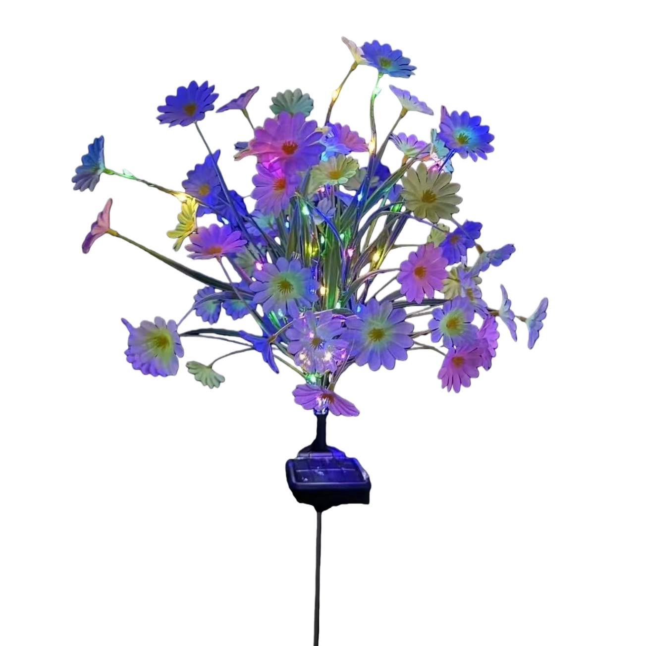 Solar daisies Item Picture