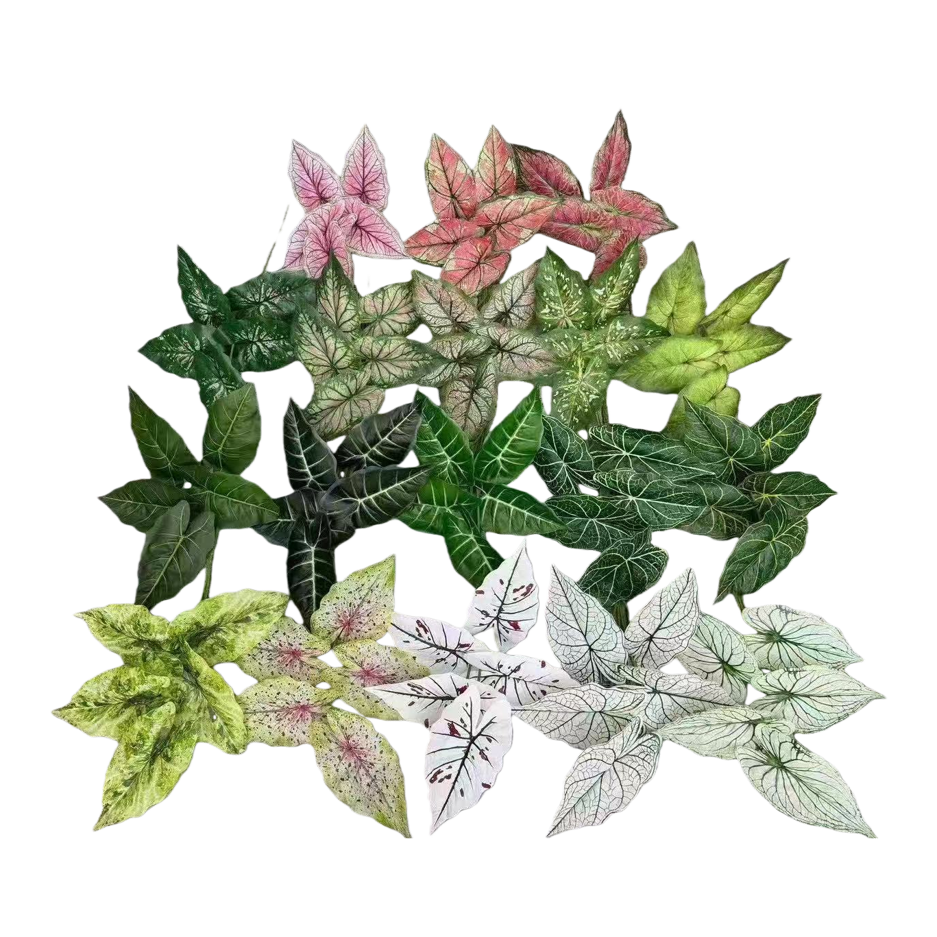 Artificial plants, colorful leaves, knitted flowers, large-leaf artificial flowers, micro-landscapes, artificial green plants, bamboo artificial flowers Item Picture