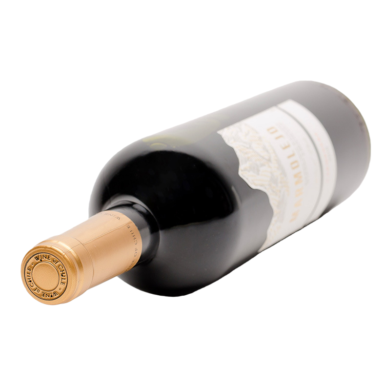 Carmenere dry red wine, imported in its original bottle from Chile Item Picture