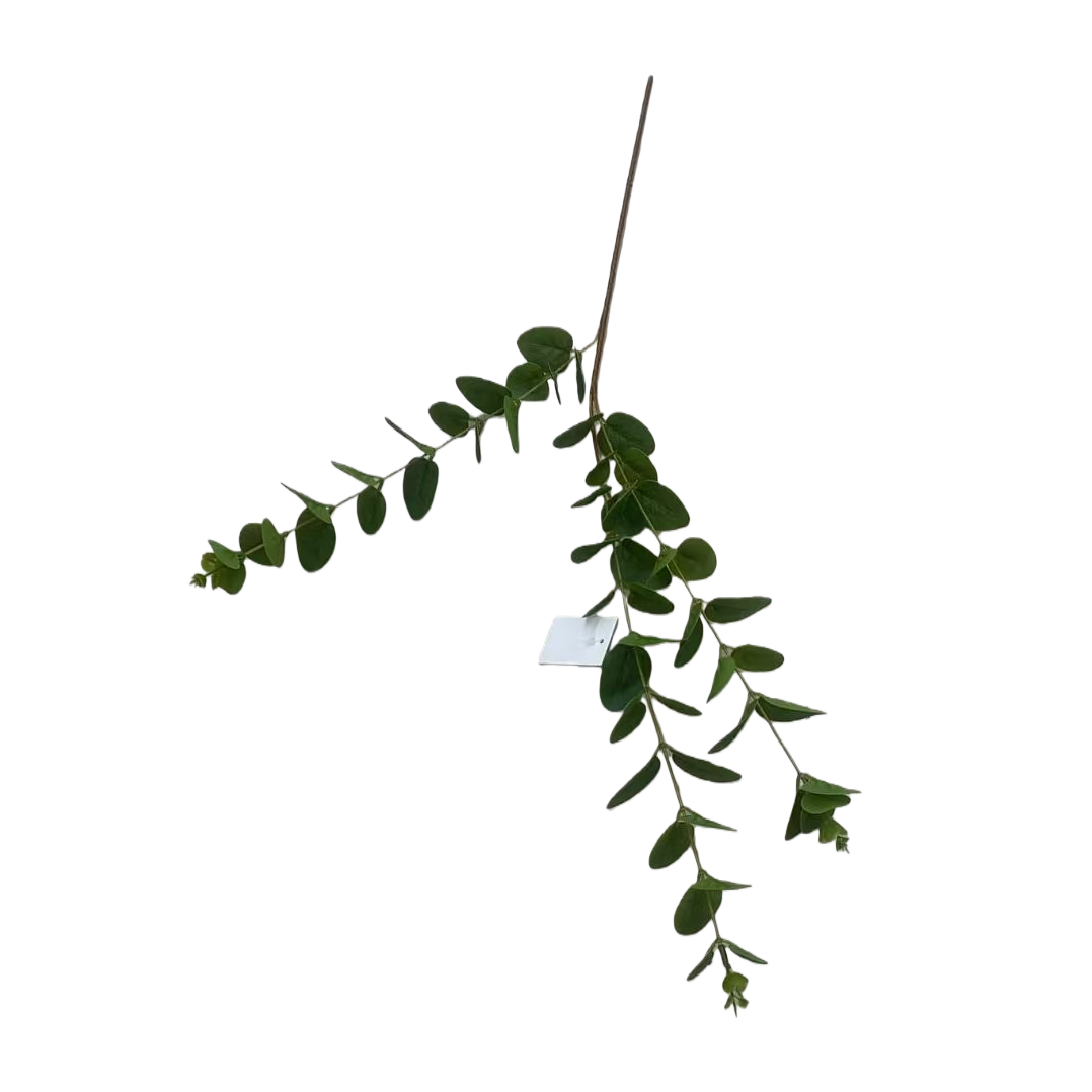 Artificial tree resin, green plant branches, artificial green plants, artificial branches and leaves, 3-forked eucalyptus Item Picture