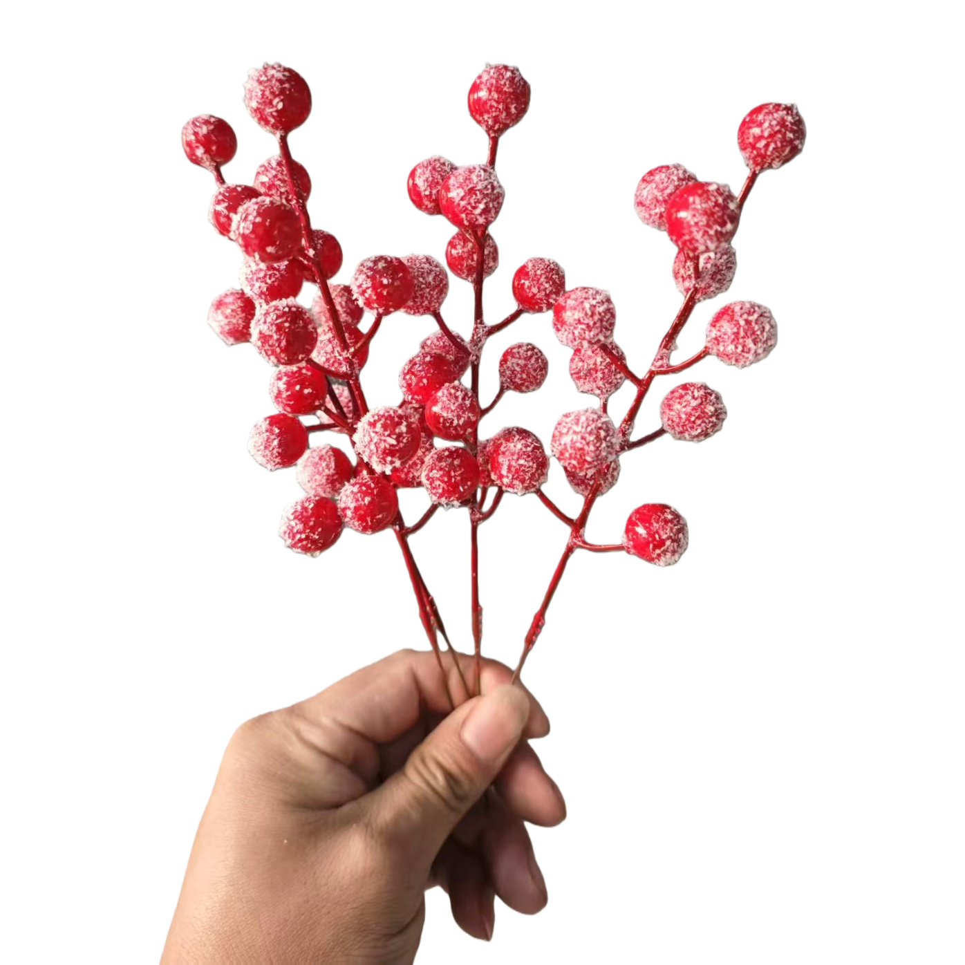 التوت الأحمر المجفف مزخرف بفرخ عيد الميلاد Item Picture