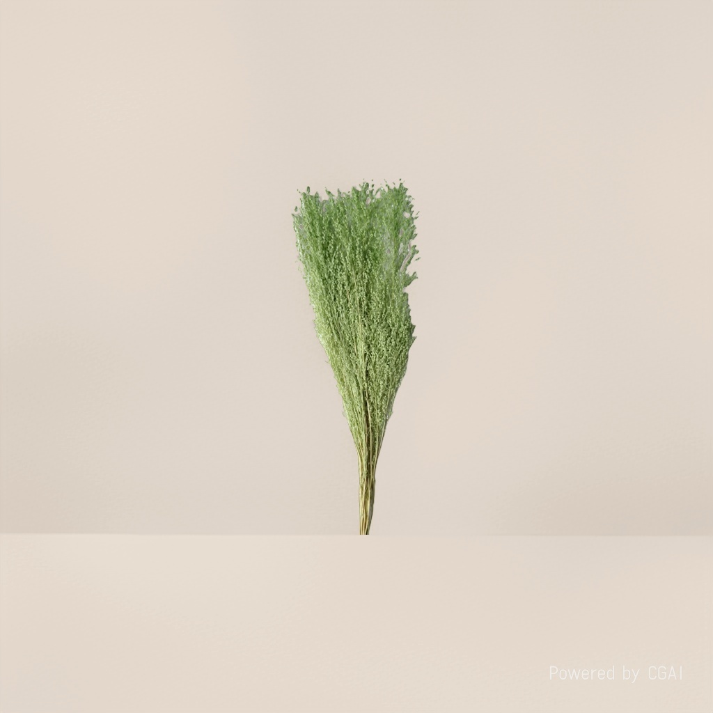 Star grass, natural dried flowers and plants, bouquet combination, shooting props, living room decoration and arrangement, home flower arrangement diy materials, diverse colors, long display time, in stock Specification image