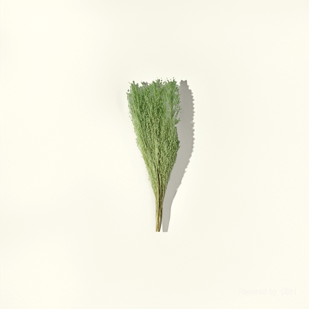 Star grass, natural dried flowers and plants, bouquet combination, shooting props, living room decoration and arrangement, home flower arrangement diy materials, diverse colors, long display time, in stock details Picture