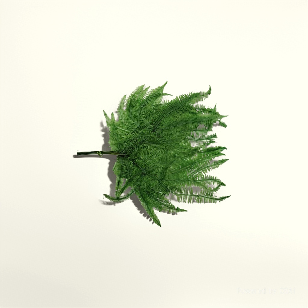 Green ferns, indoor foliage plants, fern leaf potted plants details Picture