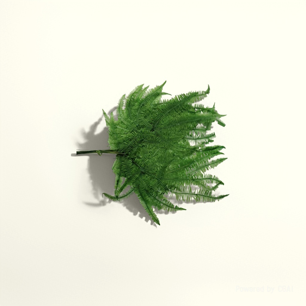 绿色蕨类植物 绿植室内观叶植物 蕨类植物叶片盆栽