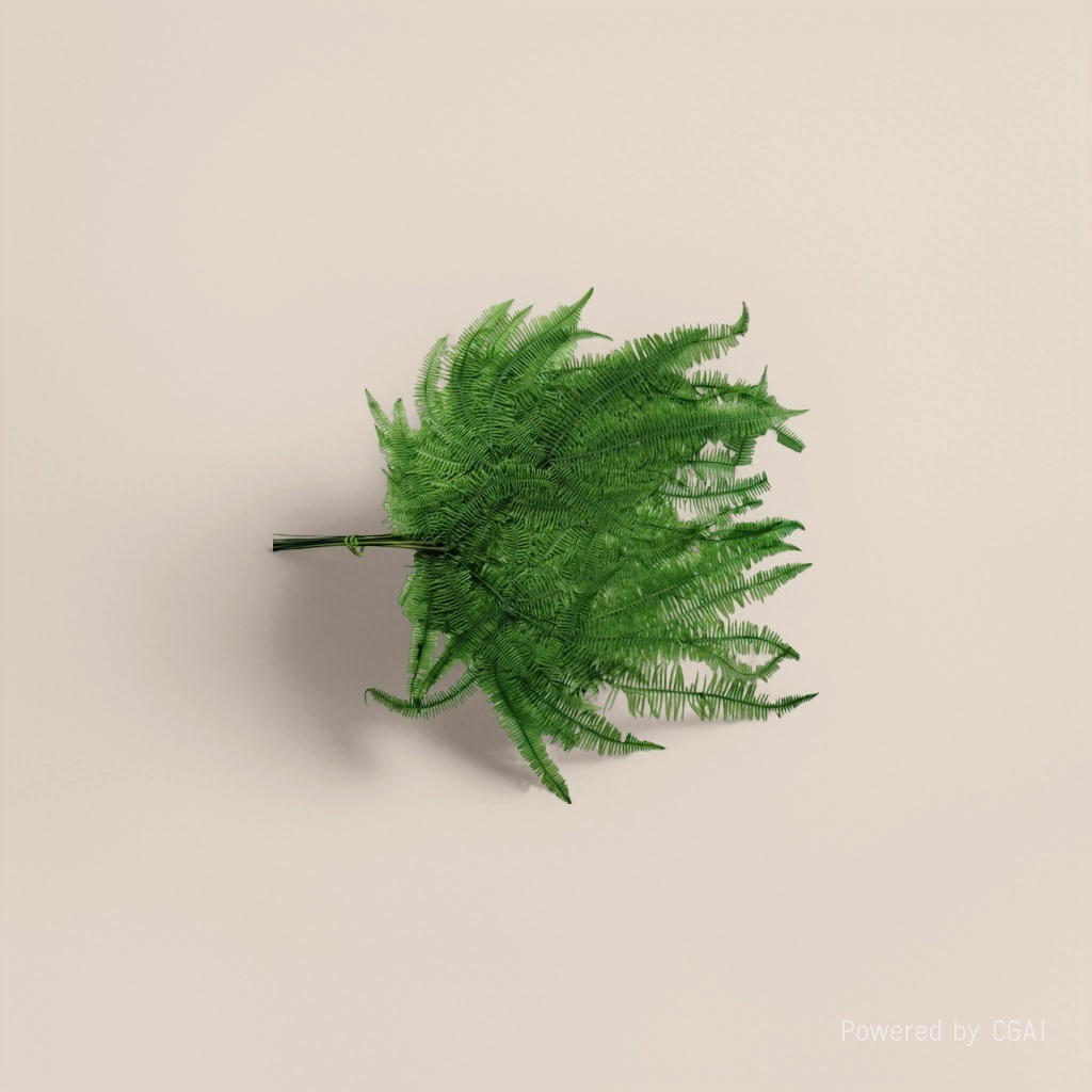 Green ferns, indoor foliage plants, fern leaf potted plants Specification image