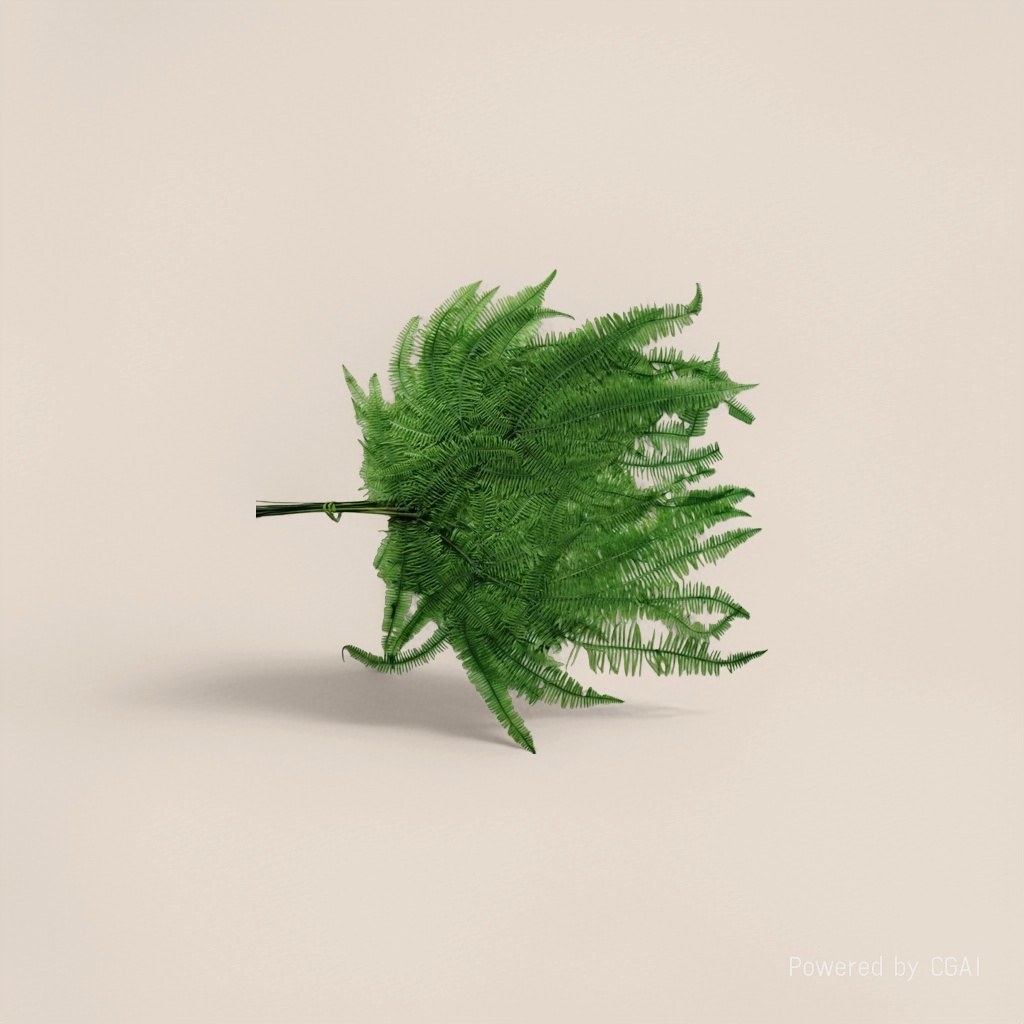 Green ferns, indoor foliage plants, fern leaf potted plants Application Scenario