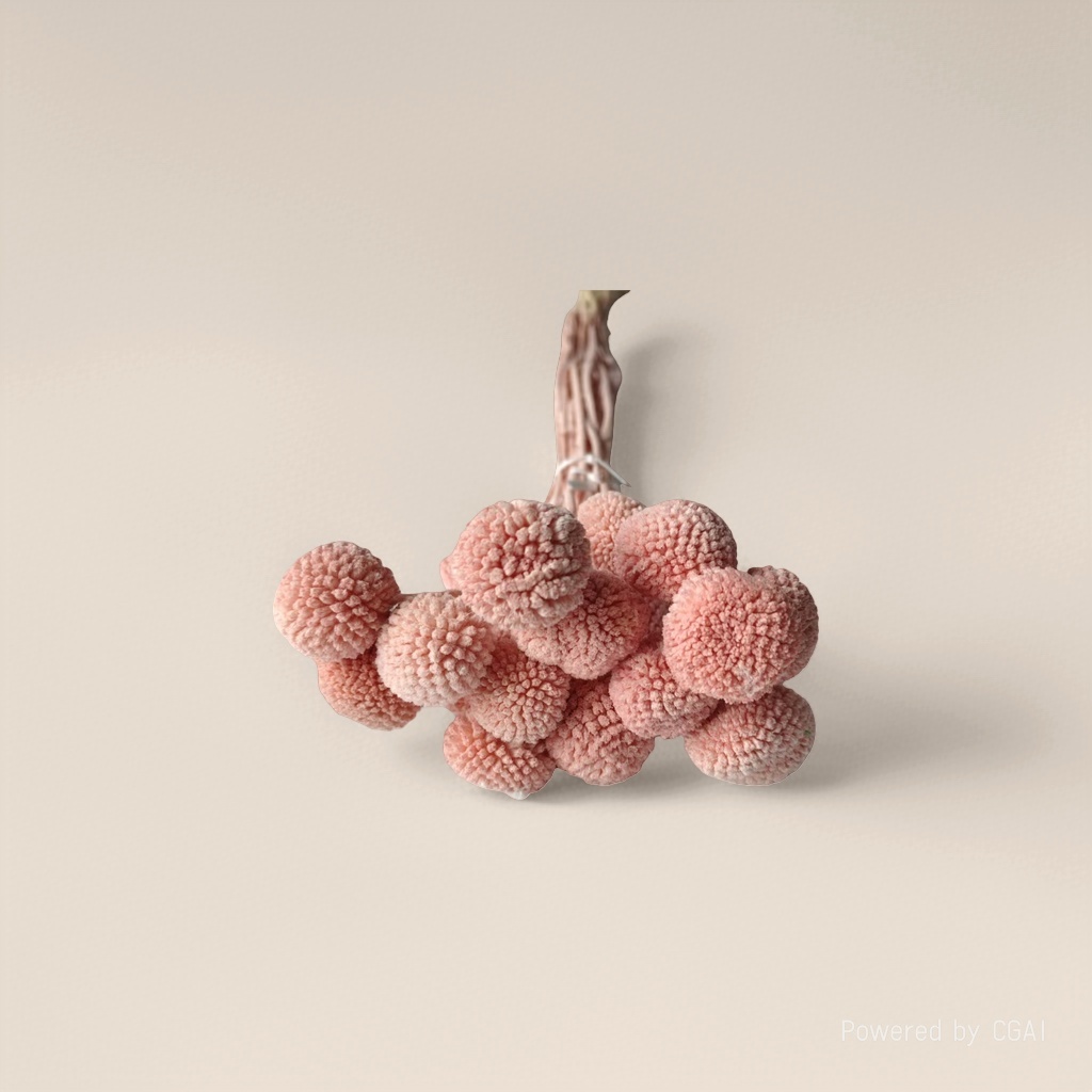 Tongcao Flower dried flower resin drip Oil Flower artificial plastic plant dried flower bag Application Scenario