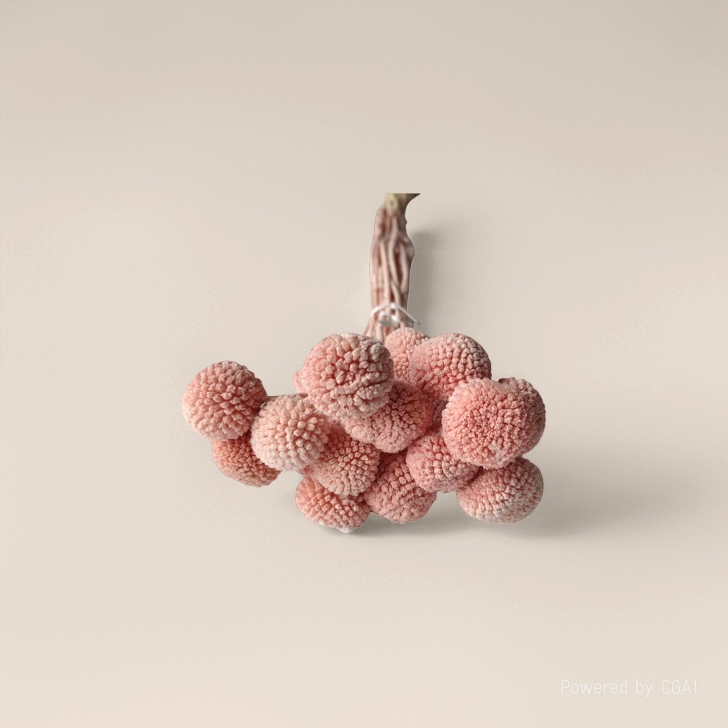 Tongcao Flower dried flower resin drip Oil Flower artificial plastic plant dried flower bag Specification image