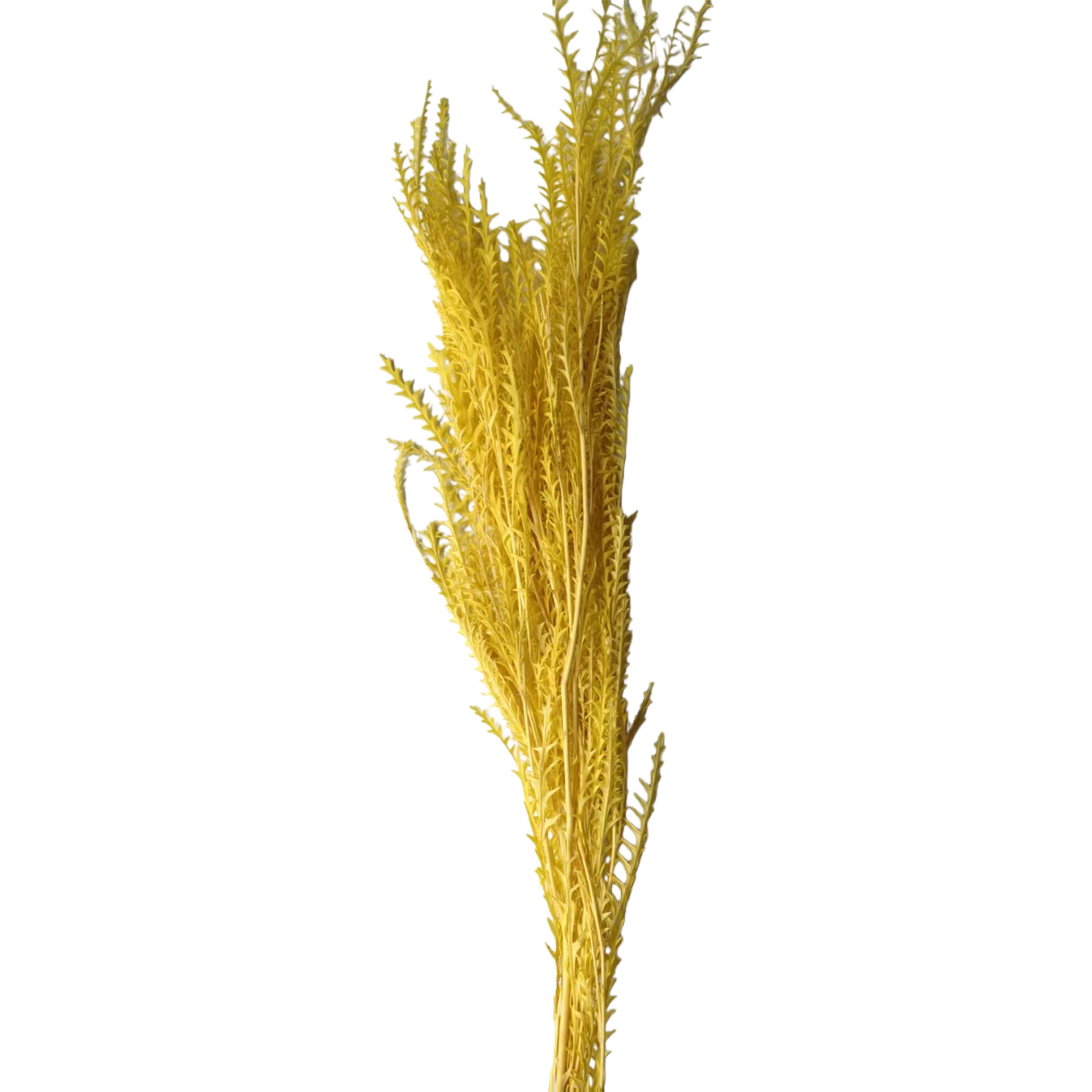 Yellow dried flower plant ornaments, artificial plastic resin oil drip flower decorative package Item Picture