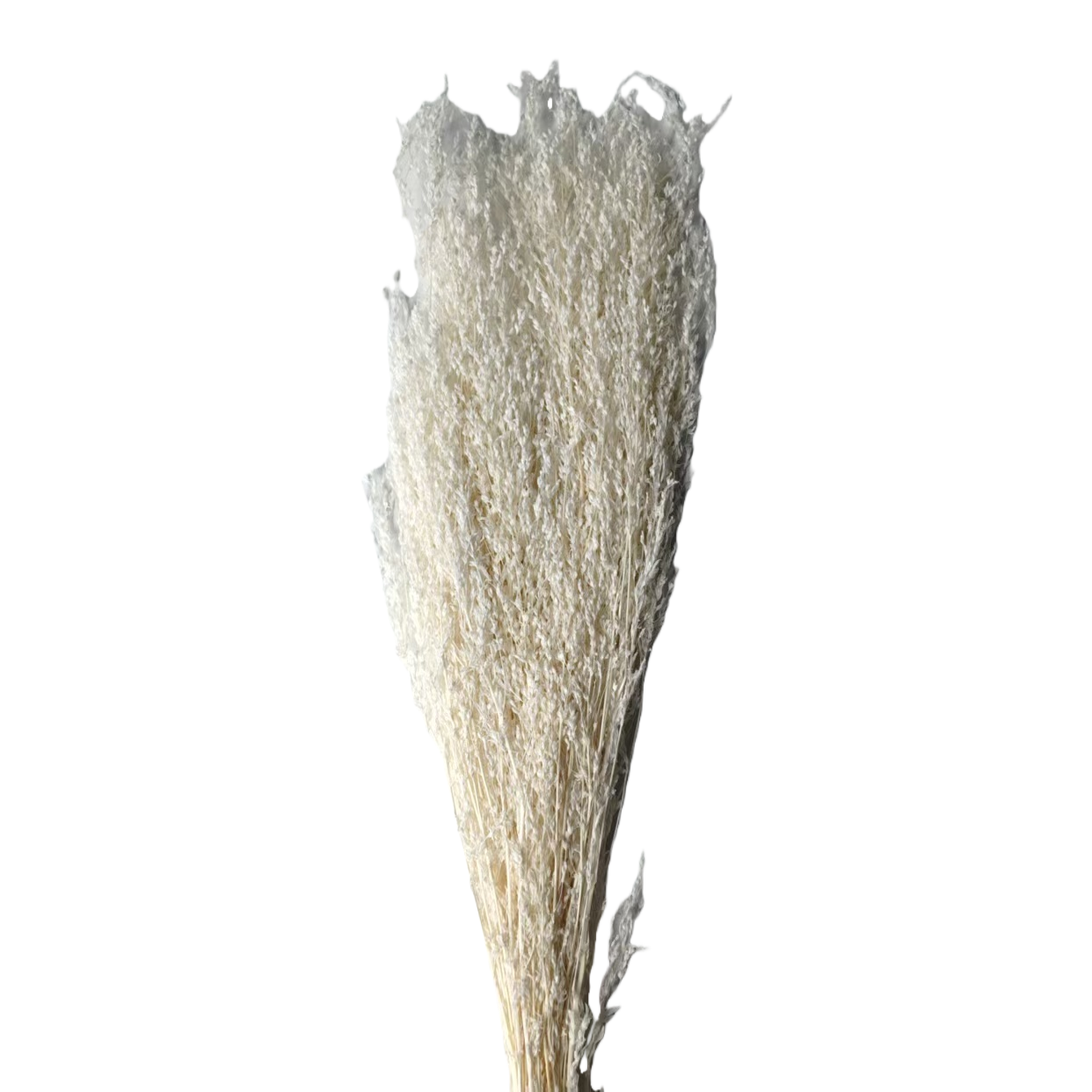 White dried flower bouquet with resin oil drip, artificial plant dried flower package 180g Item Picture