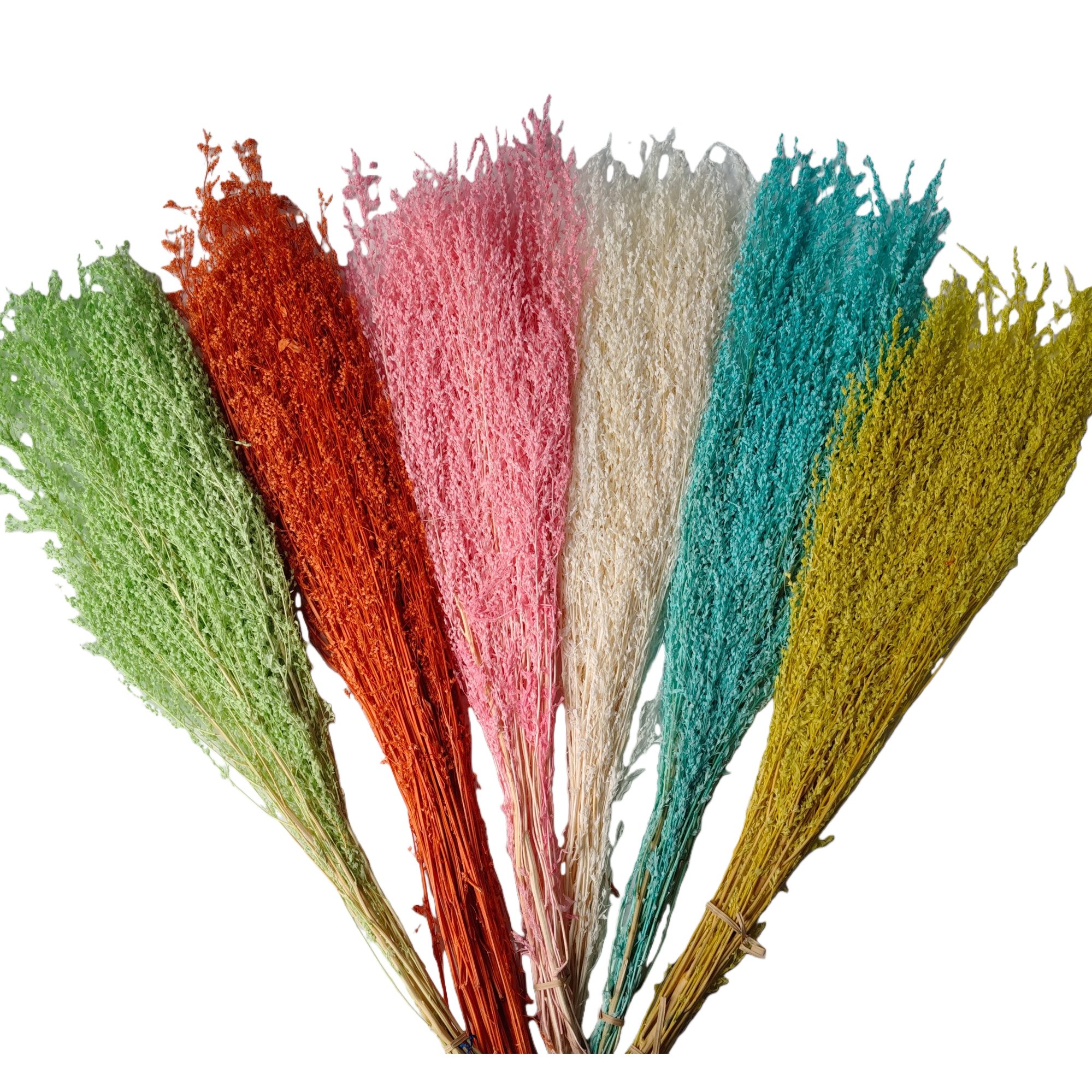 الزهور الملونة الجافة هي الزهور المصنوعة من البلاستيك المصنوعة من صنع الإنسان Item Picture