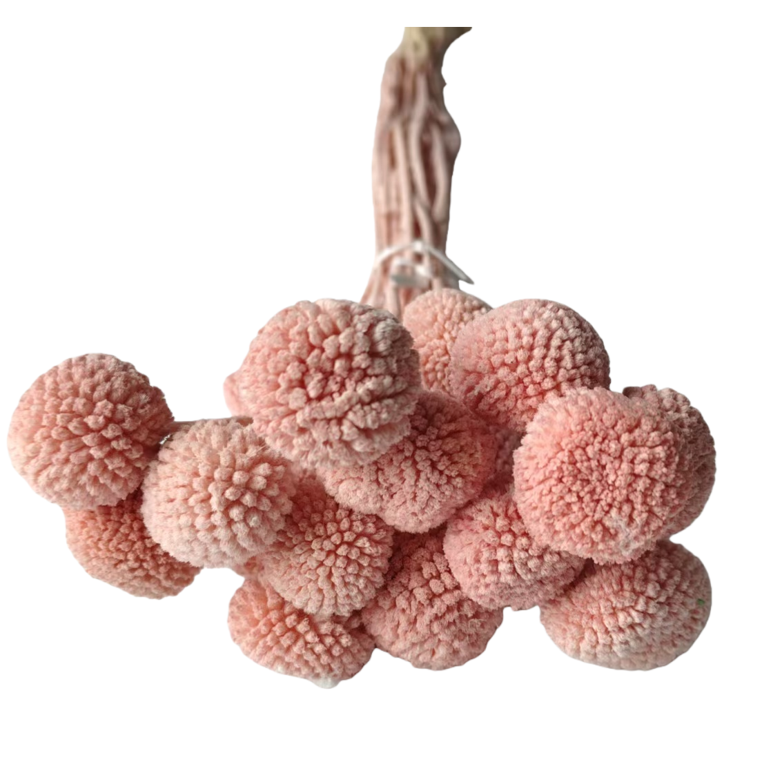 Tongcao Flower dried flower resin drip Oil Flower artificial plastic plant dried flower bag Item Picture