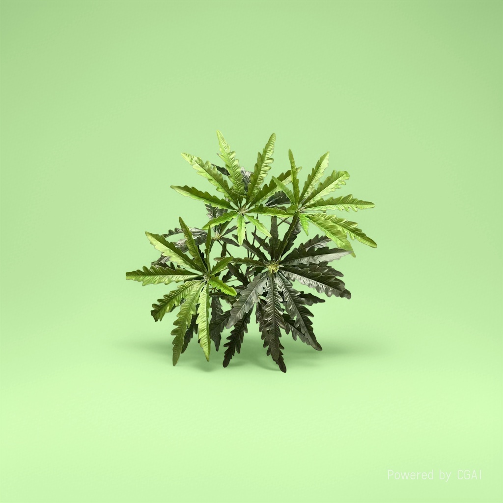 金钻水培花 兰科植物 绿色植物 室内净化空气观叶盆栽绿植仿真人造花塑料