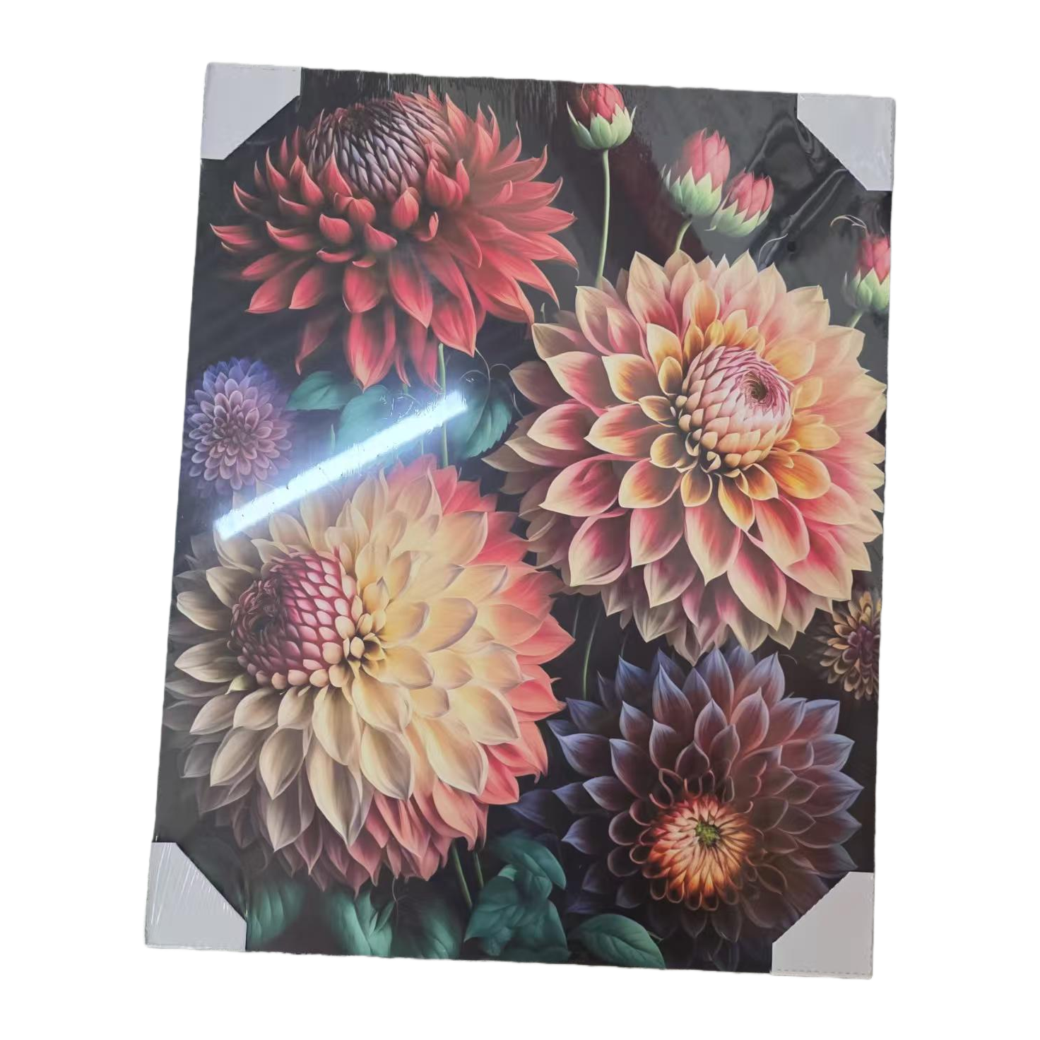 装饰画/阿拉伯挂画/宋锦/DIY珍珠画/壁画挂画钻白底实物图