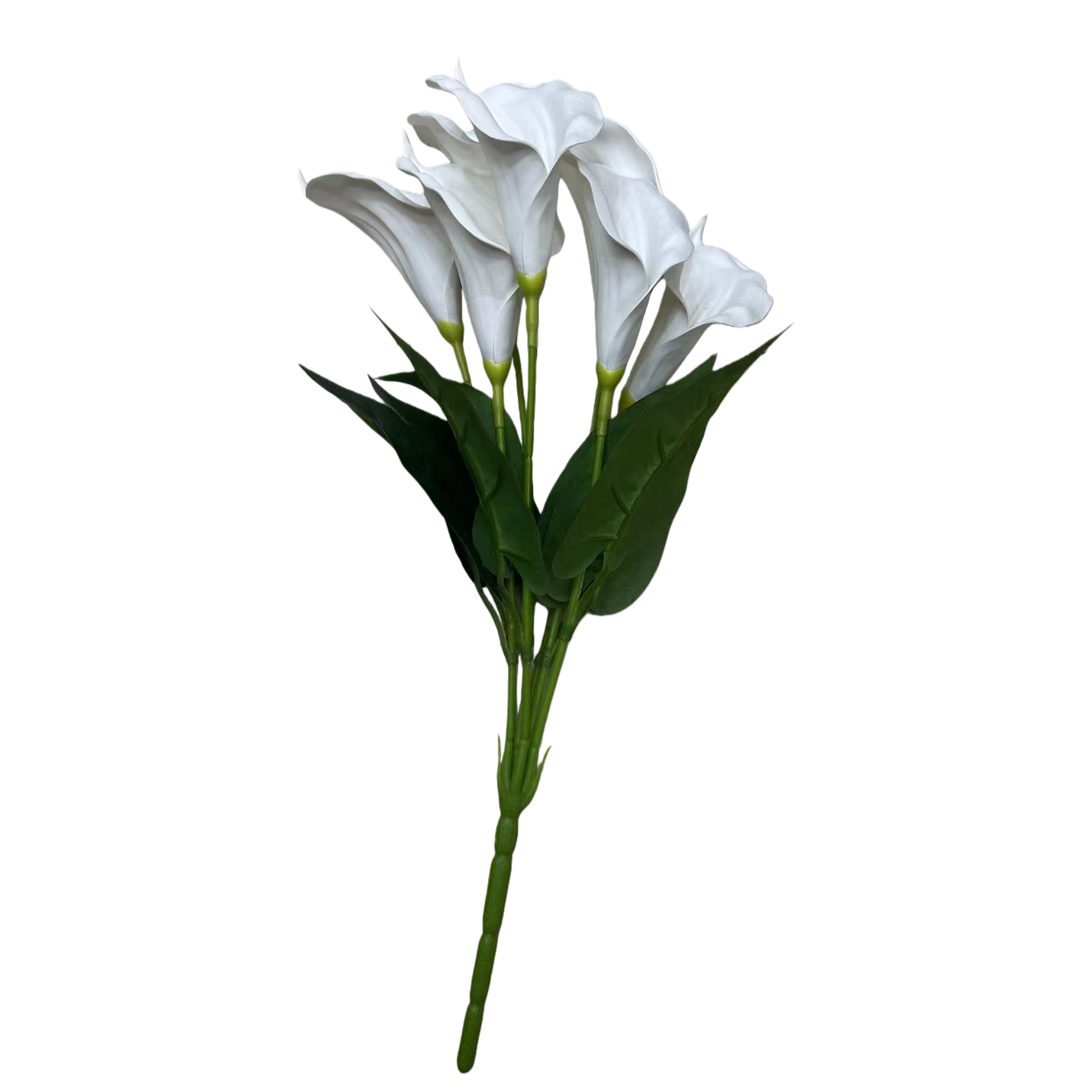 干花/通草花/人造花塑料/植物干花包/树脂滴油花白底实物图