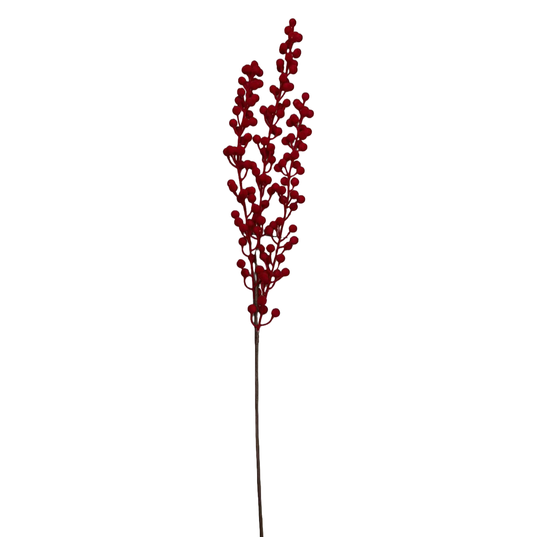 干花/通草花/人造花塑料/植物干花包/树脂滴油花白底实物图