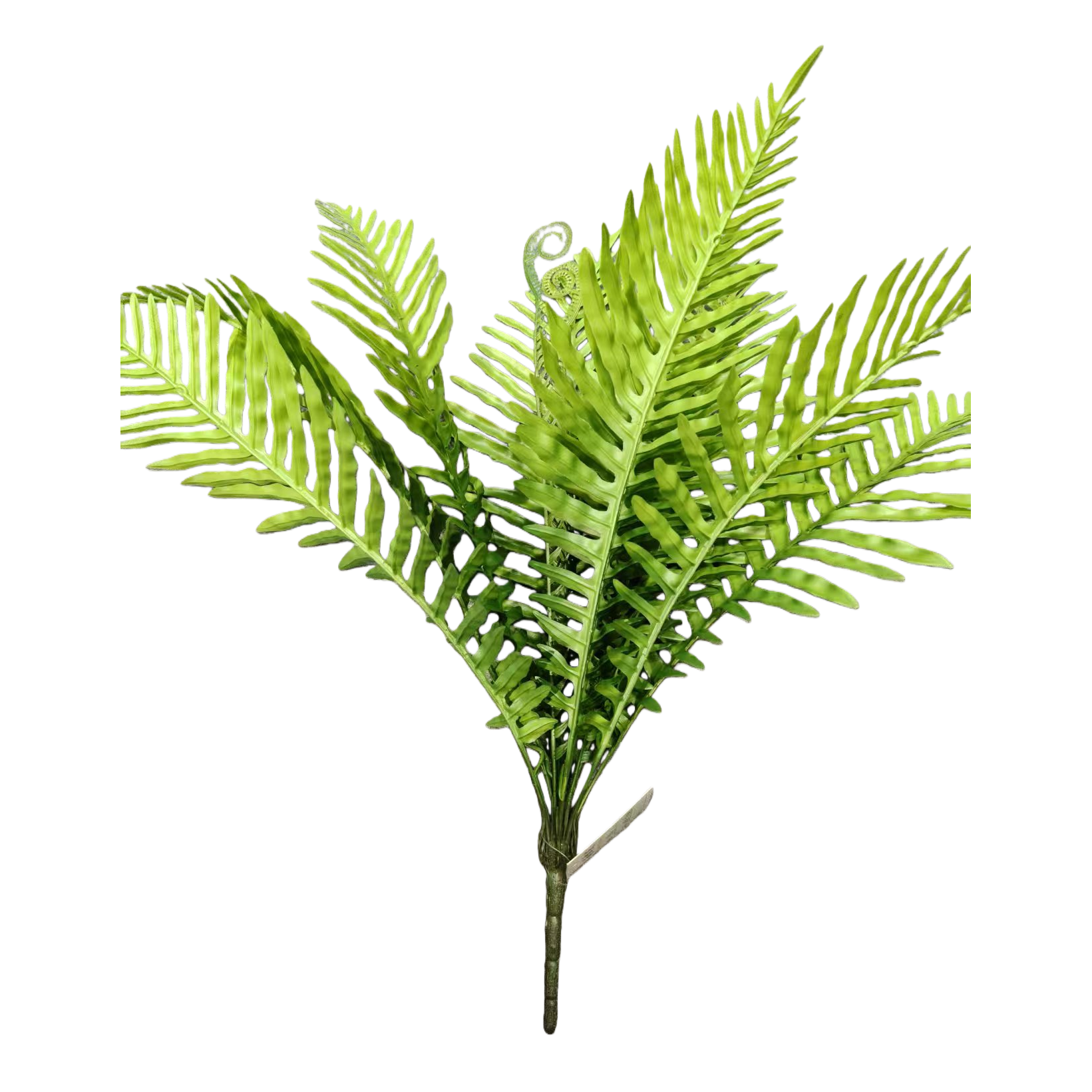 人造花塑料/假石/花杆/尤加利叶/侧柏叶白底实物图