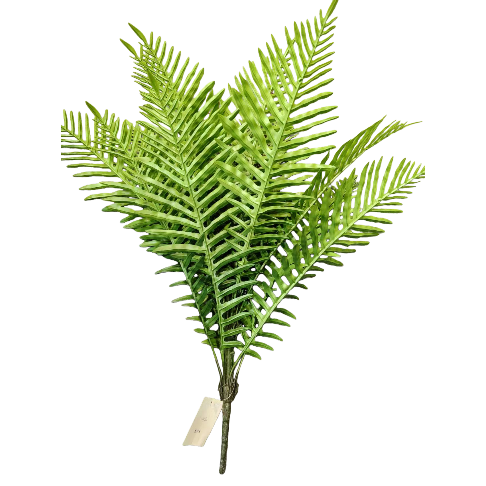 人造花塑料/仿真花/塑料花/莫奈花园仿真花/手工花材料白底实物图