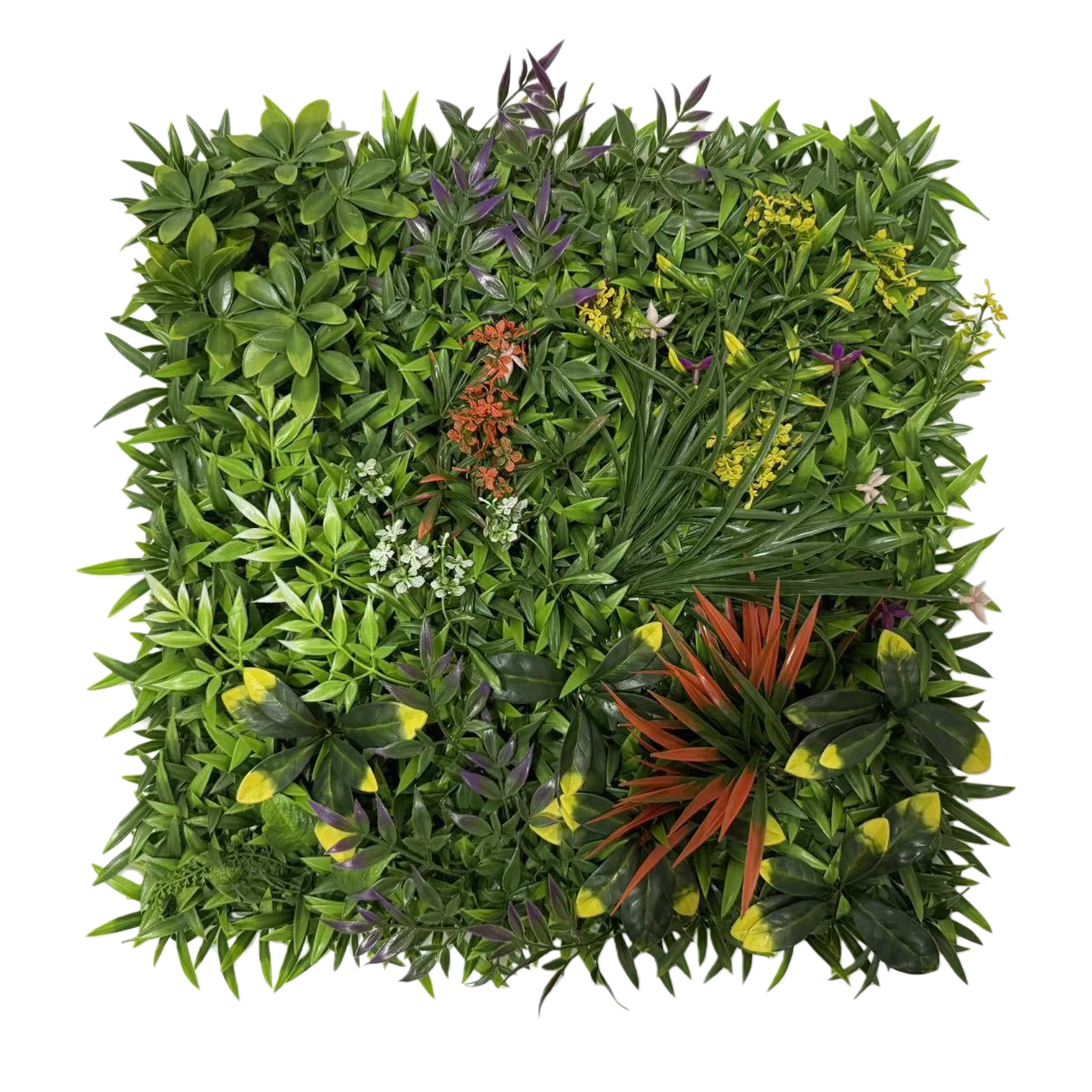 足球场人造草坪/草坪/人造花塑料/义乌/地排花白底实物图